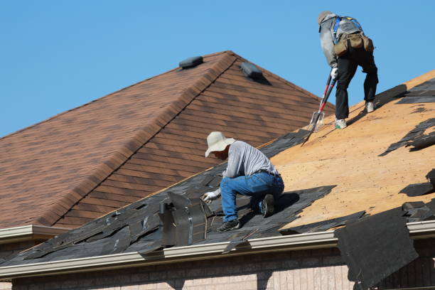 Best Metal Roofing Installation  in Zephyrhills West, FL